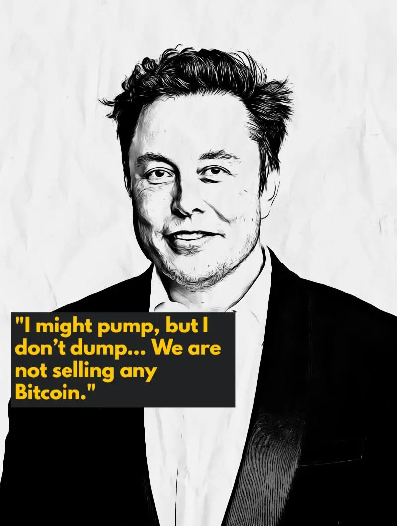 Elon Musk on pumping Bitcoin quote
