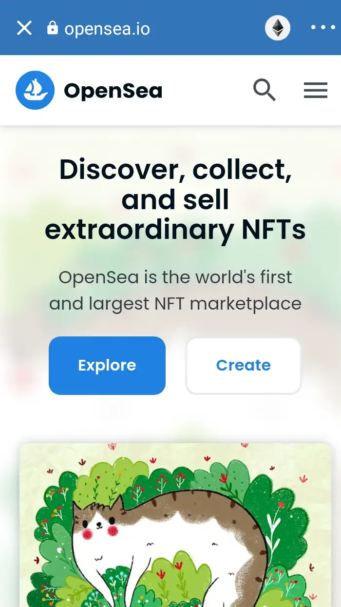 OpenSea NFT collections