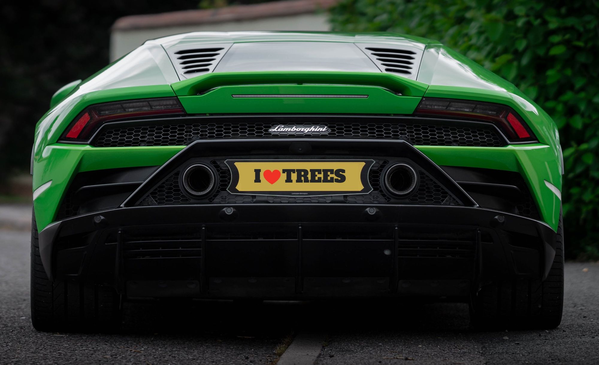 Green Lamborghini with a number plate that says "I love trees".